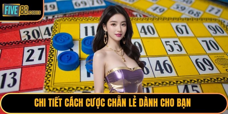 Chi tiết cách cược chẵn lẻ dành cho bạn