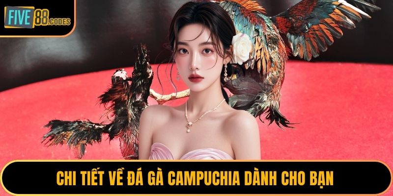 Chi tiết về đá gà campuchia dành cho bạn