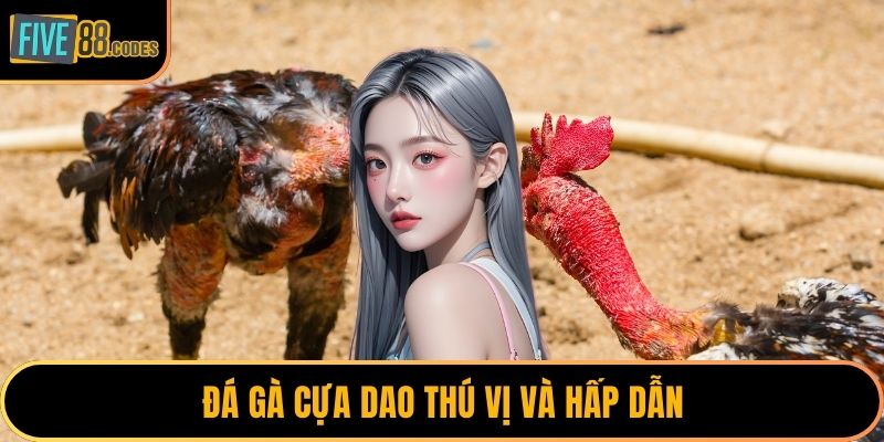 Đá gà cựa dao thú vị và hấp dẫn