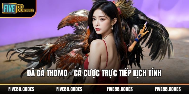 Đá gà Thomo