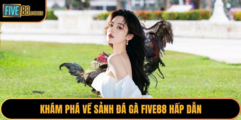 Khám phá về sảnh đá gà FIVE88 hấp dẫn